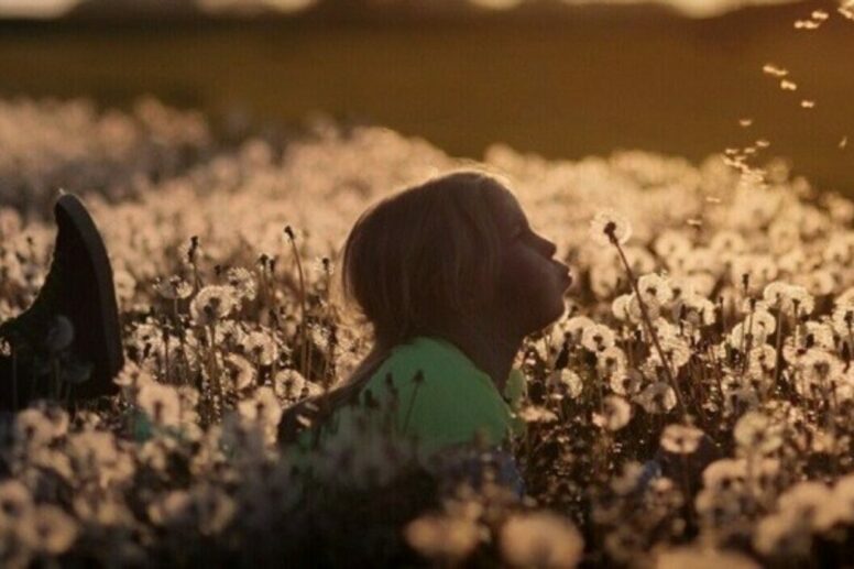 Matthieu Doridot - Naturopathe Cerifié - Dijon