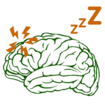 Naturopathie fatigue et sommeil